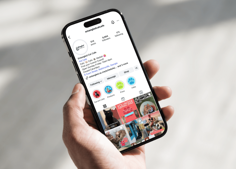 Entangled Cat Cafe – Social Media