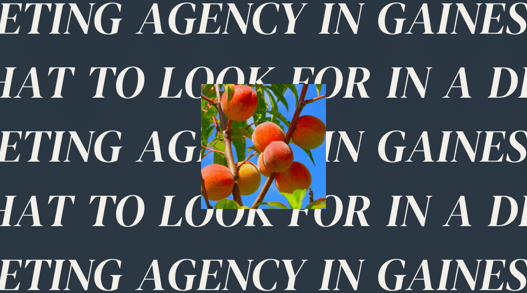 What to Look for in a Digital Marketing Agency in Gainesville, GA