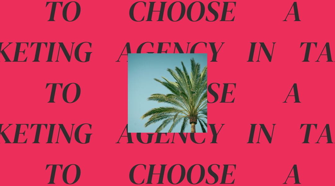 How to Choose a Digital Marketing Agency in Tampa, FL