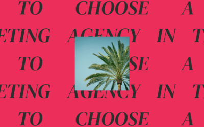 How to Choose a Digital Marketing Agency in Tampa, FL